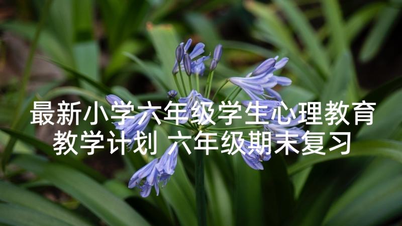 最新小学六年级学生心理教育教学计划 六年级期末复习计划(汇总7篇)