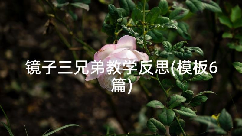 镜子三兄弟教学反思(模板6篇)