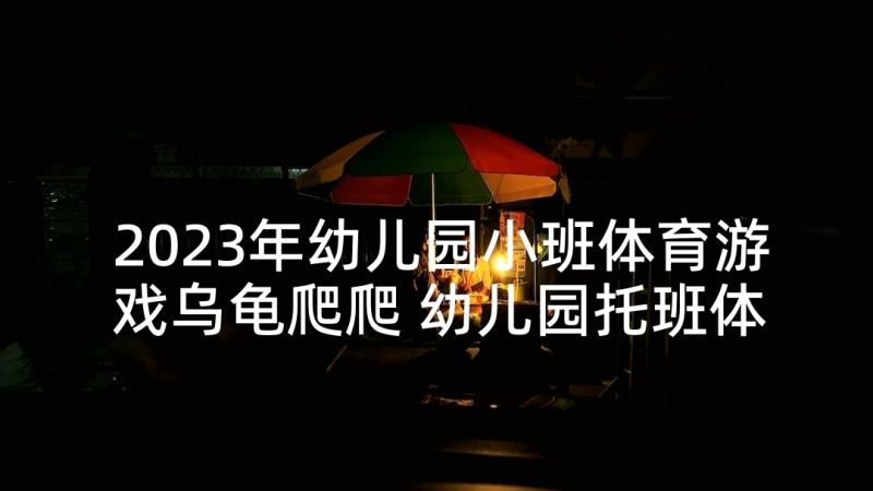 2023年幼儿园小班体育游戏乌龟爬爬 幼儿园托班体育活动教案(优秀5篇)