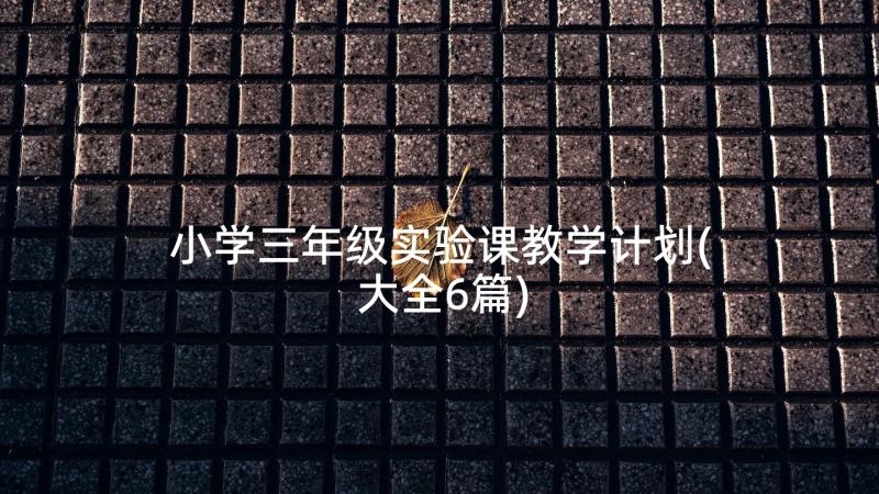 小学三年级实验课教学计划(大全6篇)