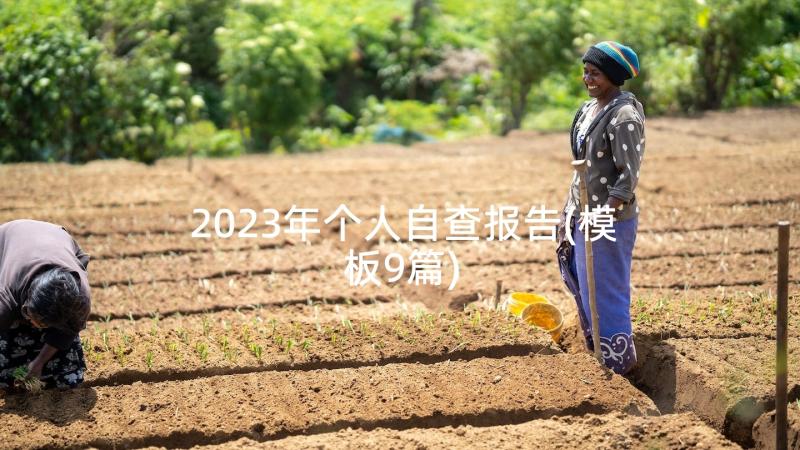 2023年个人自查报告(模板9篇)