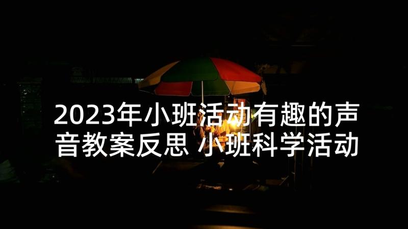 2023年小班活动有趣的声音教案反思 小班科学活动教案有趣的声音(通用5篇)