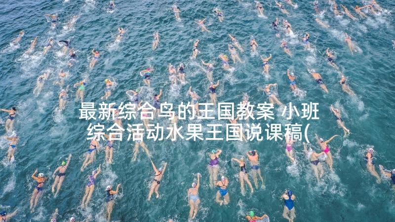 最新综合鸟的王国教案 小班综合活动水果王国说课稿(优质5篇)