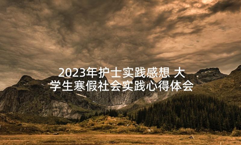 2023年护士实践感想 大学生寒假社会实践心得体会(实用6篇)