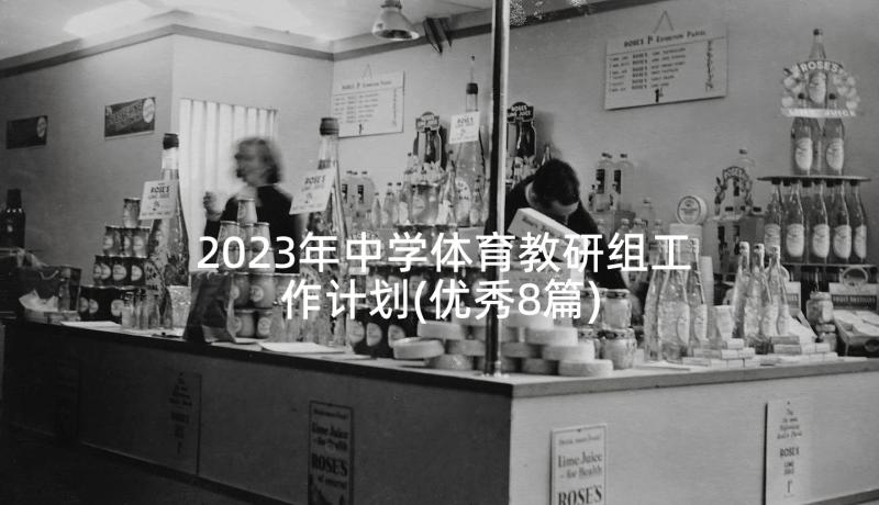 2023年中学体育教研组工作计划(优秀8篇)