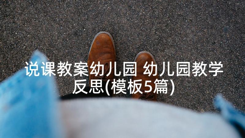 说课教案幼儿园 幼儿园教学反思(模板5篇)