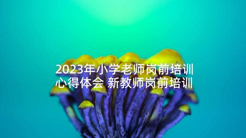 2023年小学老师岗前培训心得体会 新教师岗前培训心得体会(模板5篇)