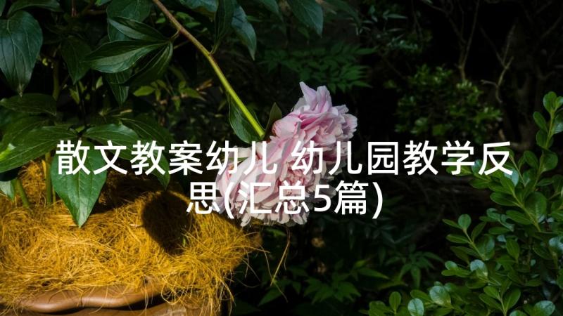 散文教案幼儿 幼儿园教学反思(汇总5篇)