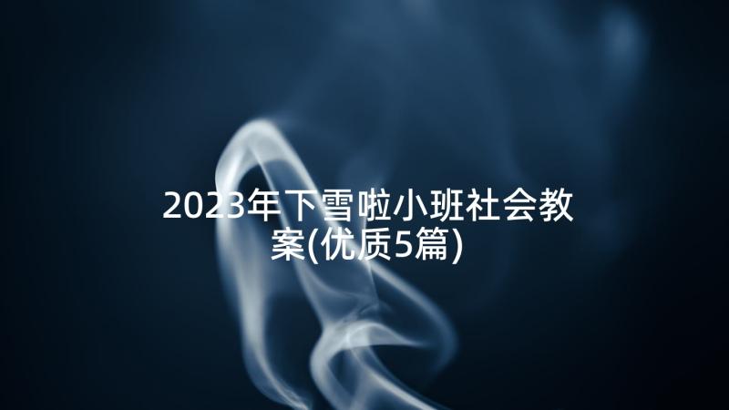 2023年下雪啦小班社会教案(优质5篇)