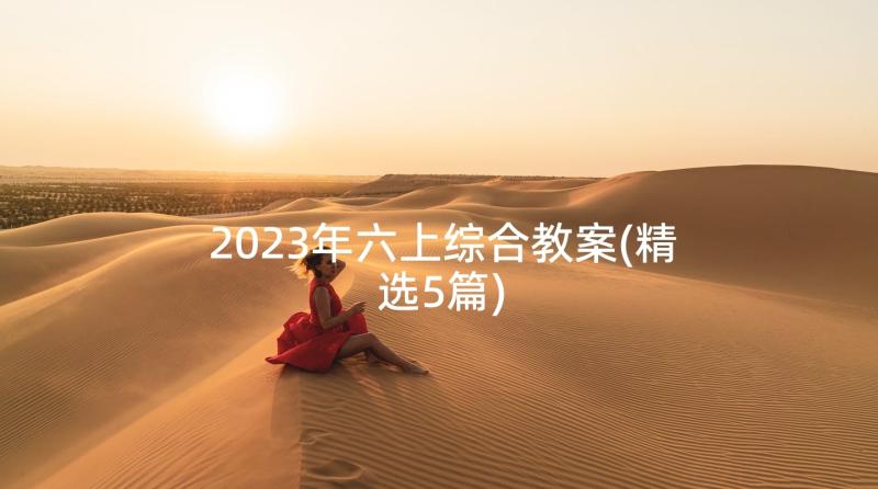 2023年六上综合教案(精选5篇)