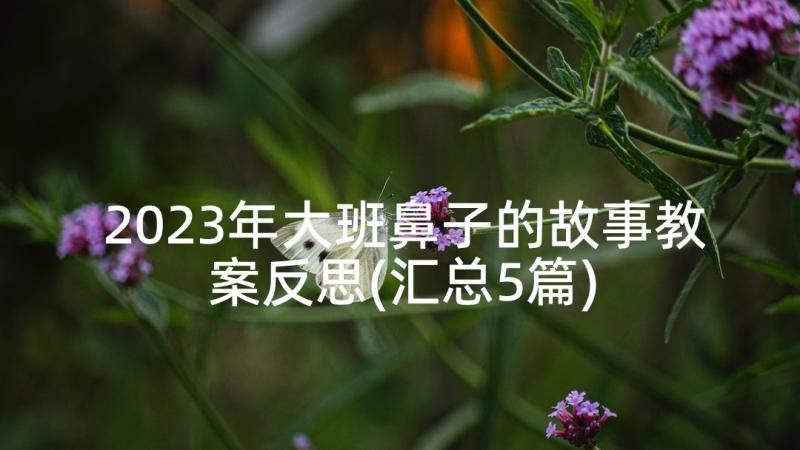 2023年大班鼻子的故事教案反思(汇总5篇)