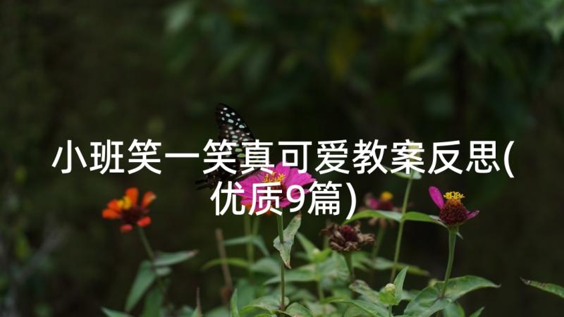 小班笑一笑真可爱教案反思(优质9篇)