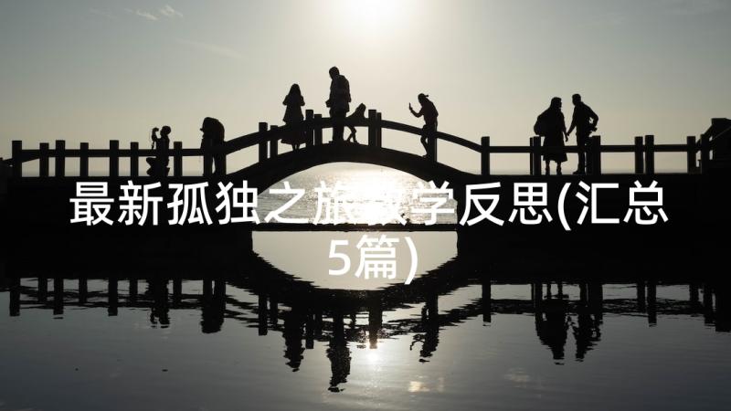 最新孤独之旅教学反思(汇总5篇)