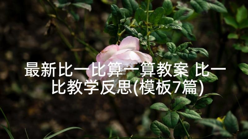 最新比一比算一算教案 比一比教学反思(模板7篇)