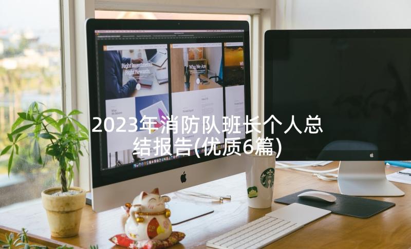 2023年消防队班长个人总结报告(优质6篇)