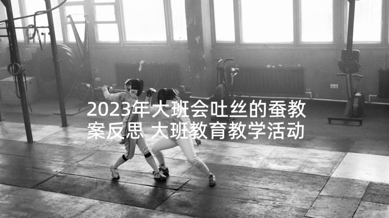 2023年大班会吐丝的蚕教案反思 大班教育教学活动总结(优质8篇)