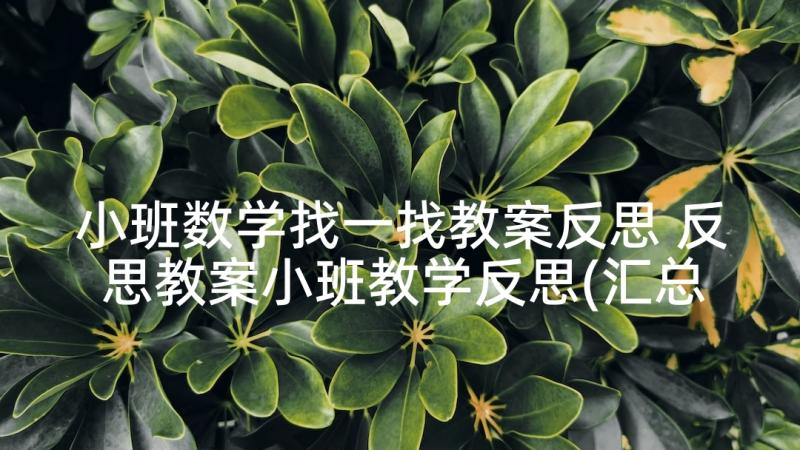 小班数学找一找教案反思 反思教案小班教学反思(汇总10篇)