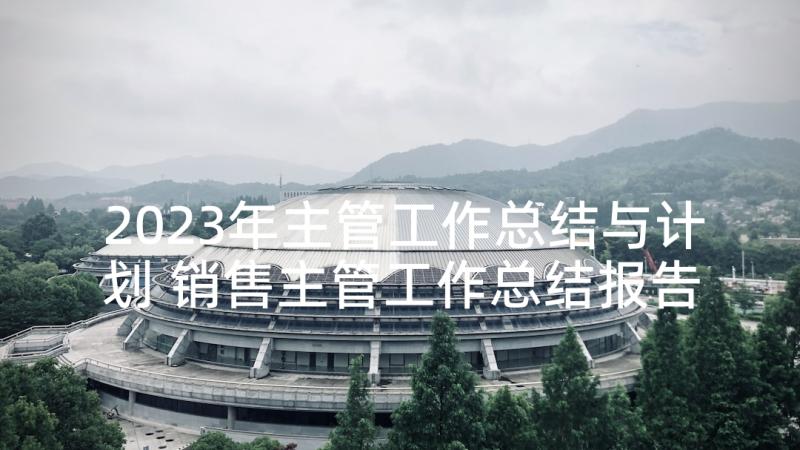 2023年主管工作总结与计划 销售主管工作总结报告(通用5篇)