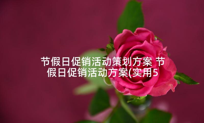 节假日促销活动策划方案 节假日促销活动方案(实用5篇)