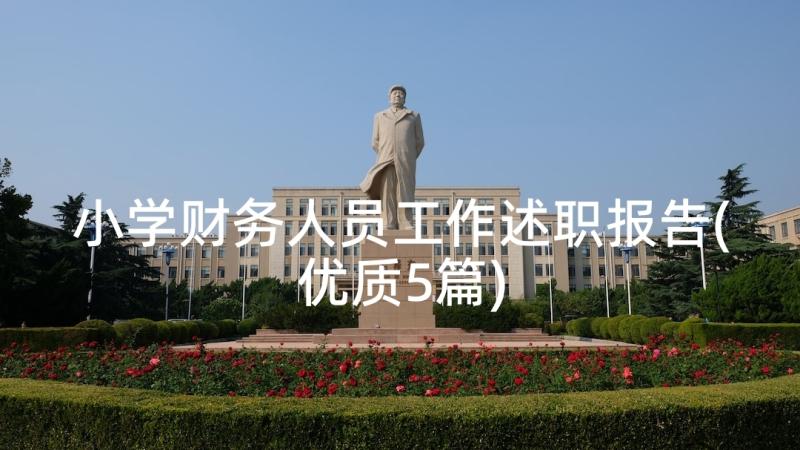 小学财务人员工作述职报告(优质5篇)