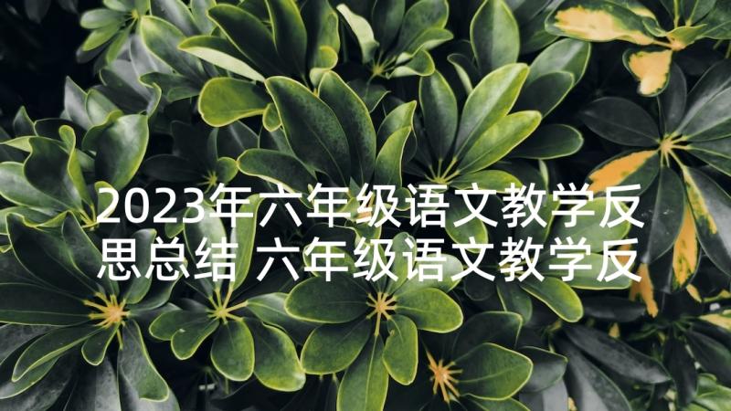 2023年六年级语文教学反思总结 六年级语文教学反思(实用10篇)