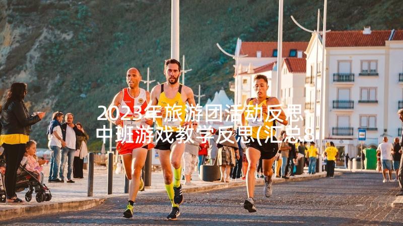 2023年旅游团活动反思 中班游戏教学反思(汇总8篇)