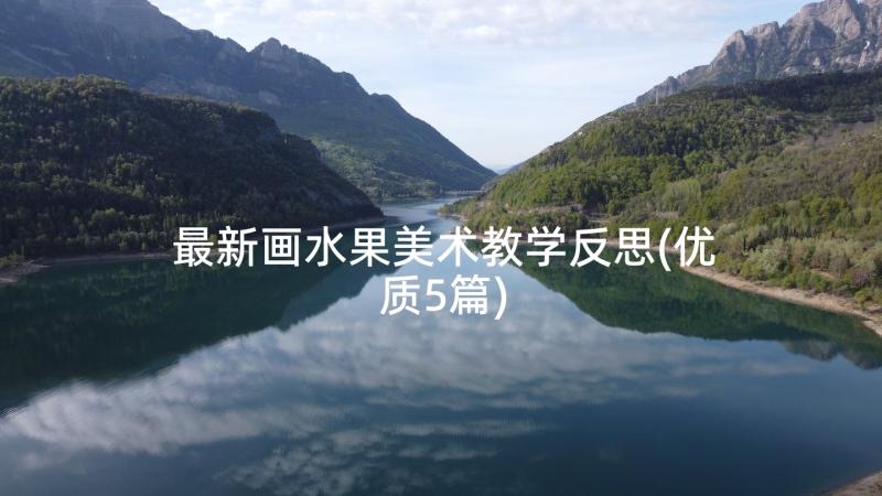 最新画水果美术教学反思(优质5篇)