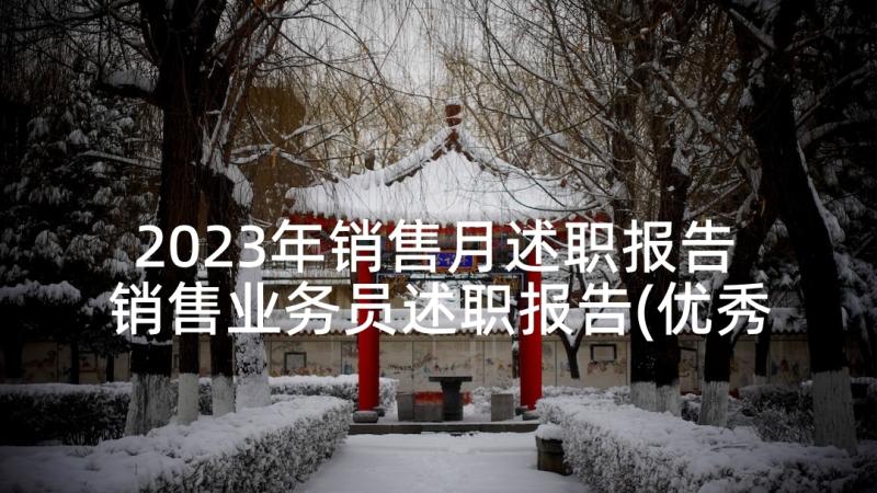 2023年销售月述职报告 销售业务员述职报告(优秀8篇)