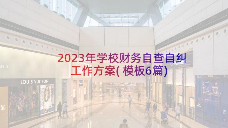 2023年学校财务自查自纠工作方案(模板6篇)