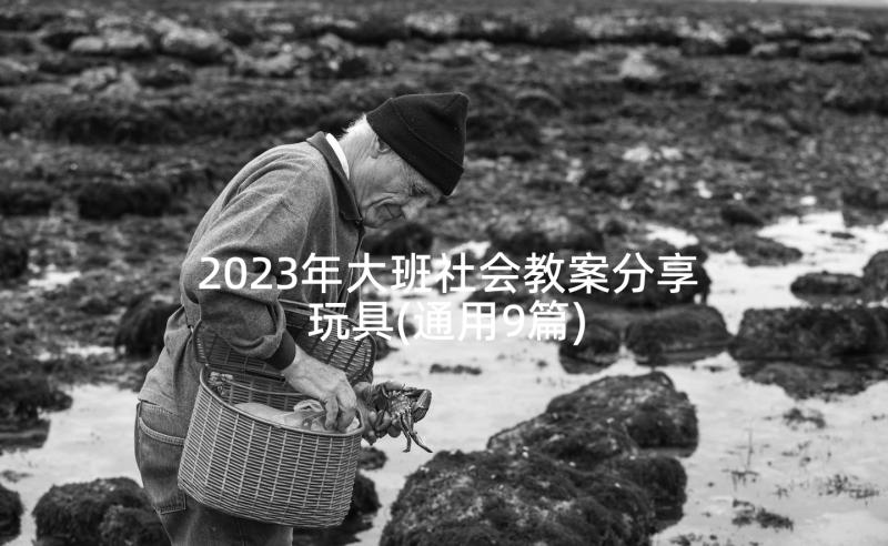 2023年大班社会教案分享玩具(通用9篇)