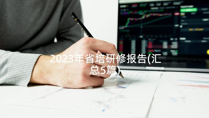 2023年省培研修报告(汇总5篇)