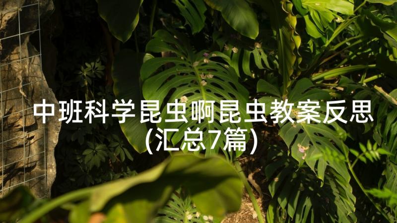 中班科学昆虫啊昆虫教案反思(汇总7篇)