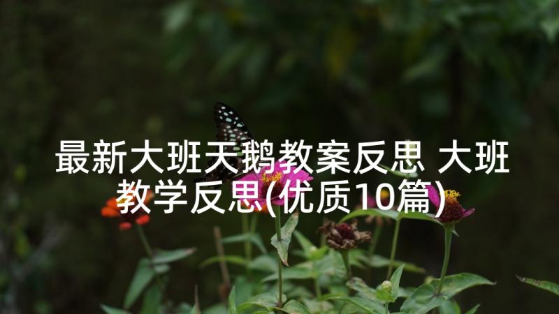 最新大班天鹅教案反思 大班教学反思(优质10篇)