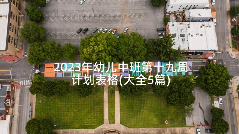 2023年幼儿中班第十九周计划表格(大全5篇)