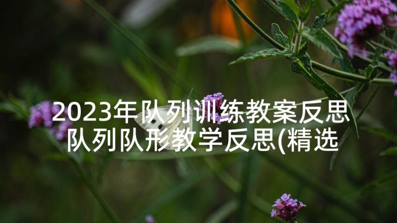 2023年队列训练教案反思 队列队形教学反思(精选5篇)