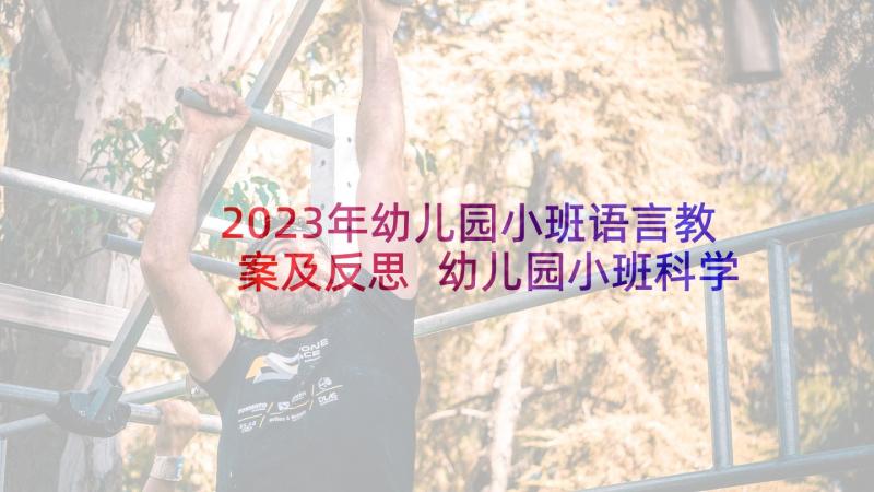 2023年幼儿园小班语言教案及反思 幼儿园小班科学活动教案大和小含反思(精选10篇)