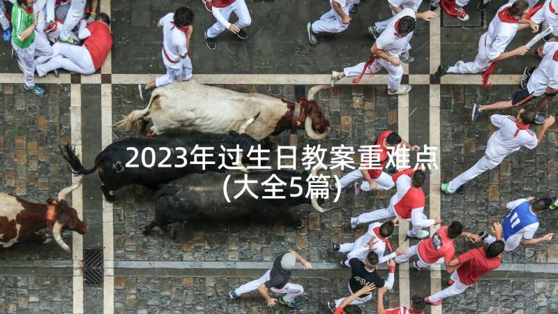 2023年过生日教案重难点(大全5篇)