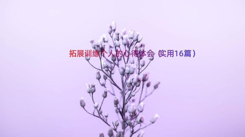 拓展训练个人的心得体会（实用16篇）