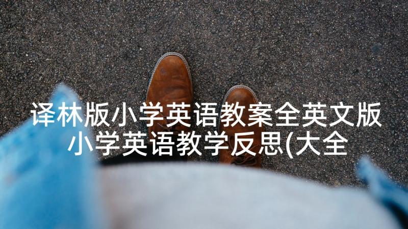 译林版小学英语教案全英文版 小学英语教学反思(大全5篇)