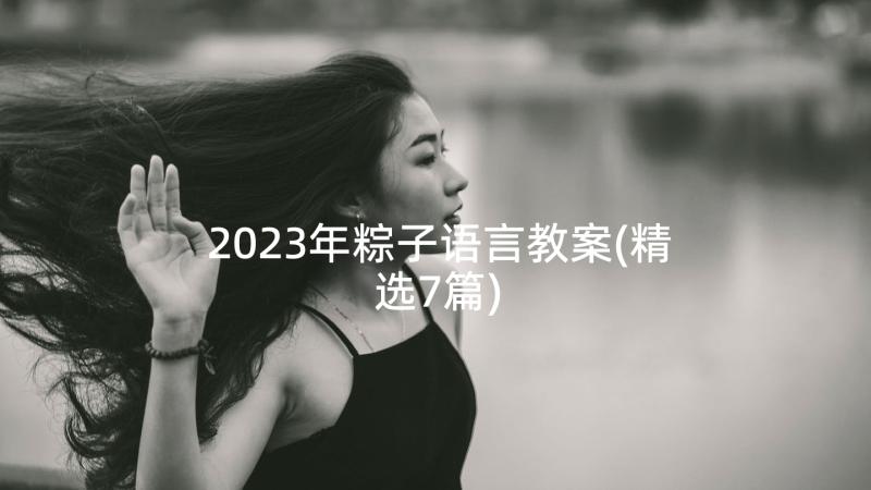 2023年粽子语言教案(精选7篇)