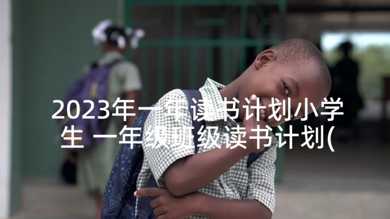 2023年一年读书计划小学生 一年级班级读书计划(模板5篇)