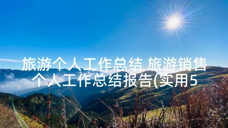 旅游个人工作总结 旅游销售个人工作总结报告(实用5篇)