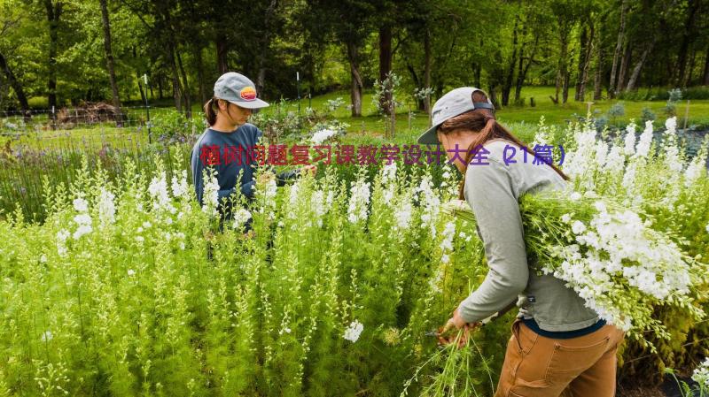 植树问题复习课教学设计大全（21篇）