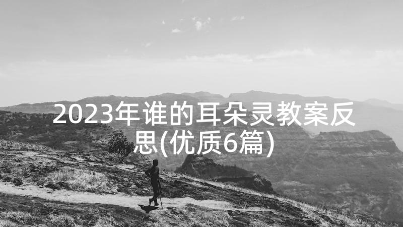 2023年谁的耳朵灵教案反思(优质6篇)