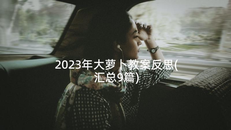 2023年大萝卜教案反思(汇总9篇)