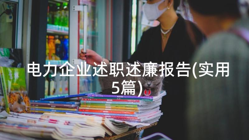 电力企业述职述廉报告(实用5篇)