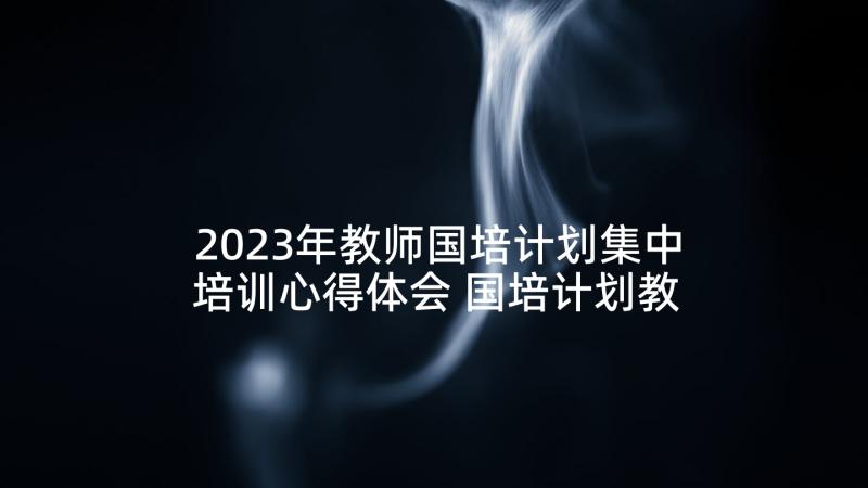 2023年教师国培计划集中培训心得体会 国培计划教师培训心得体会(汇总5篇)