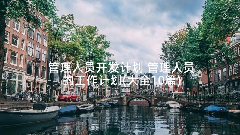 管理人员开发计划 管理人员的工作计划(大全10篇)