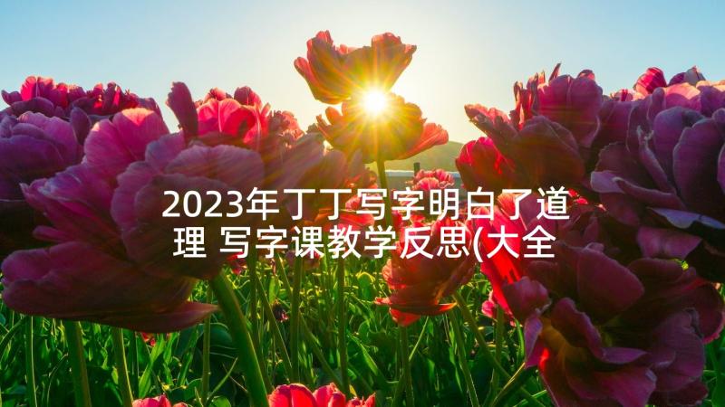 2023年丁丁写字明白了道理 写字课教学反思(大全10篇)