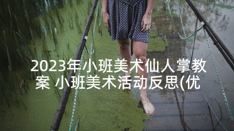 2023年小班美术仙人掌教案 小班美术活动反思(优质7篇)